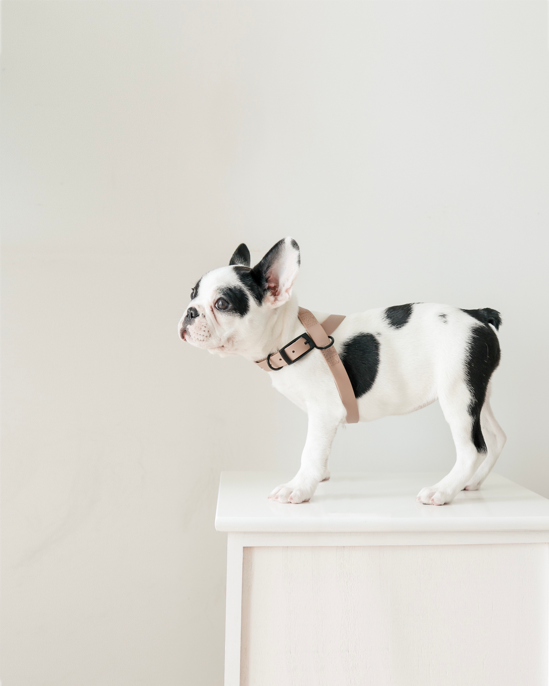 slider image slider_item_2